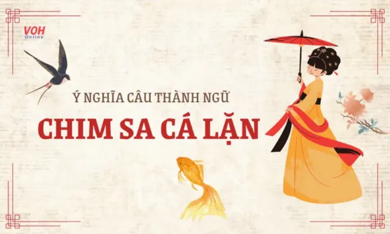 Chim sa cá lặn trong văn hóa dân gian