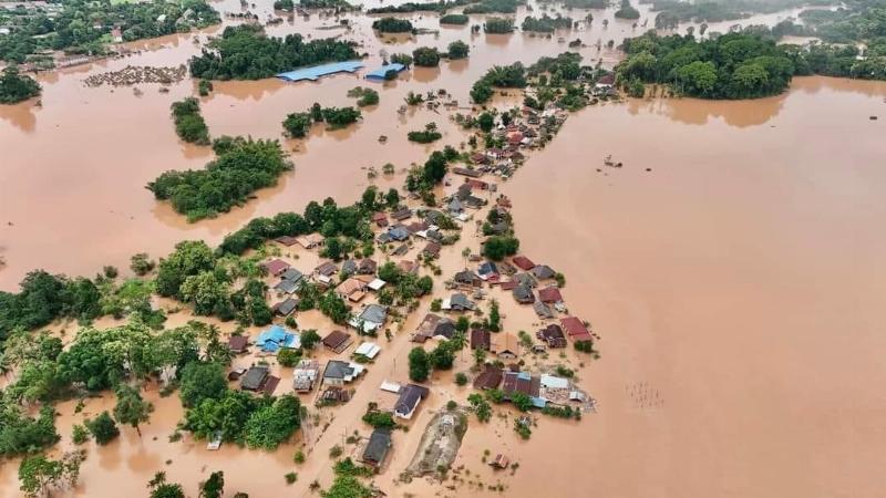 Giúp Đỡ Chim Mắc Kẹt Trong Nhà