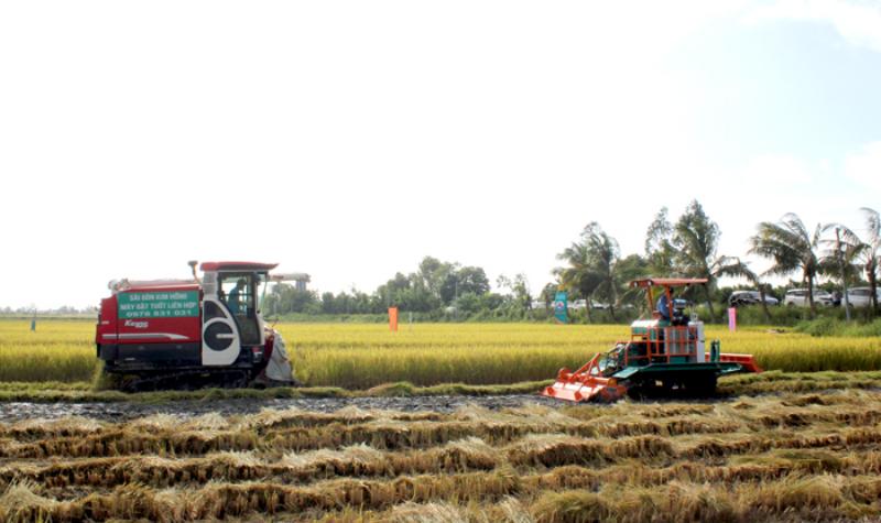 Máy gieo sạ lúa giảm chi phí