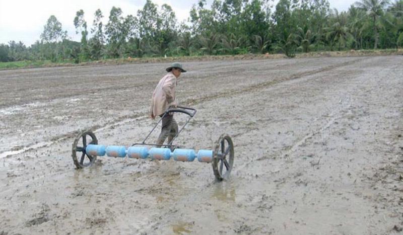 Máy gieo sạ lúa nâng cao năng suất