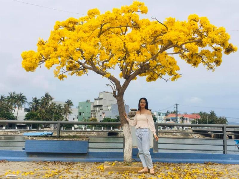 Mua vàng ở đâu tại Phú Yên