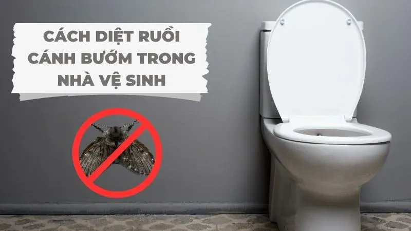 Cách ngăn bướm đêm bay vào nhà hiệu quả