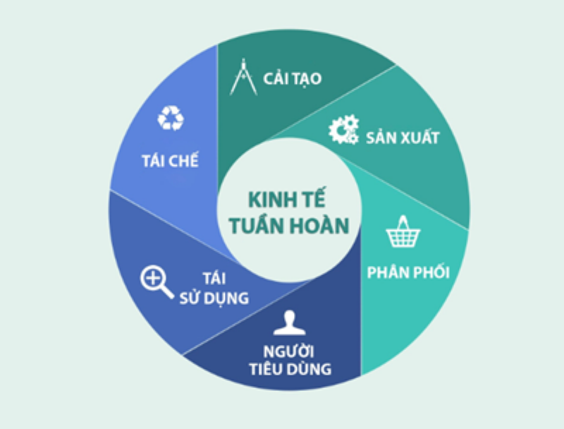 Người lạ có bầu trong mơ: Cơ hội và thách thức