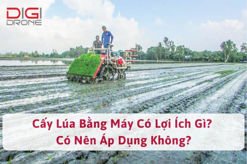 Một số nhược điểm khi sử dụng máy cấy lúa