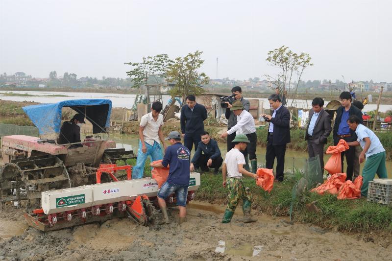 Nông Dân Sử Dụng Máy Sạ Lúa