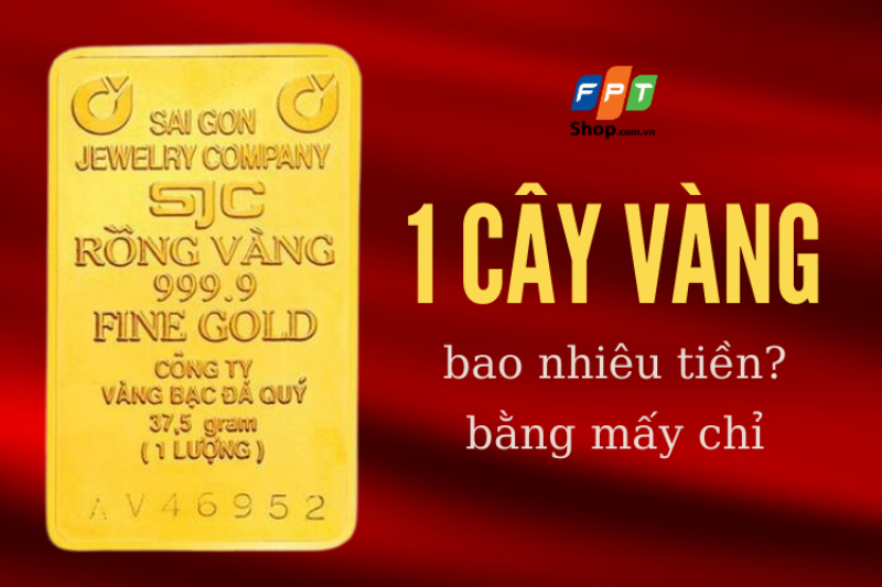 So sánh cây vàng SJC và cây vàng Ta