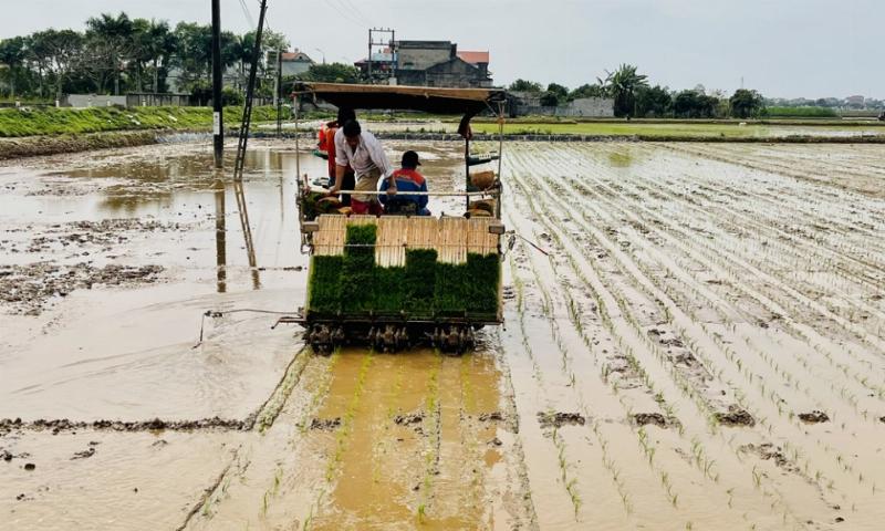 Ưu điểm của việc sử dụng máy cấy lúa trong nông nghiệp